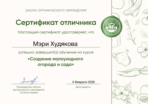 diploma23458703